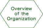 Overview of the Organization